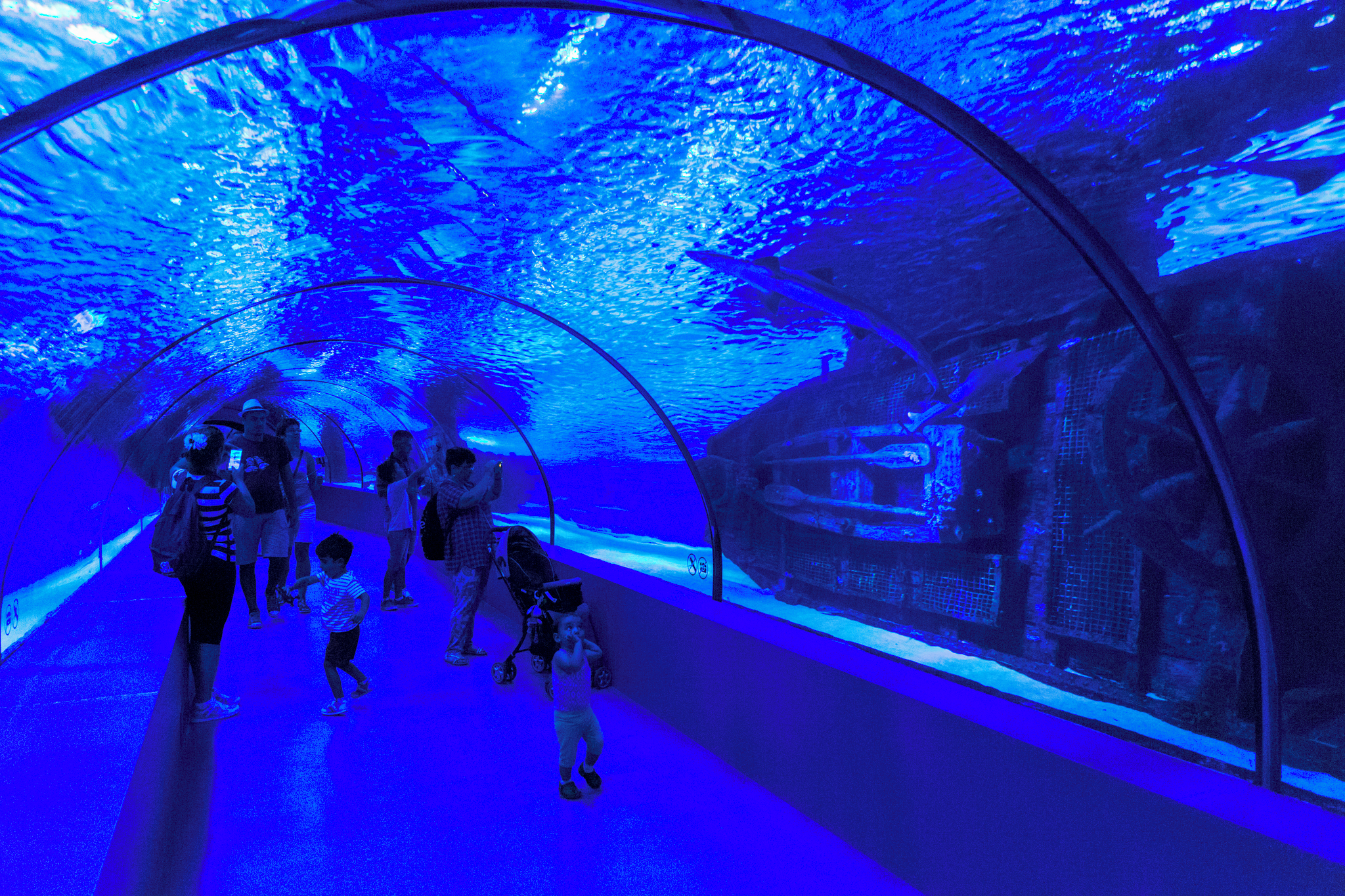 Antalya Aquarium 